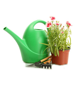 Gardening Water Can